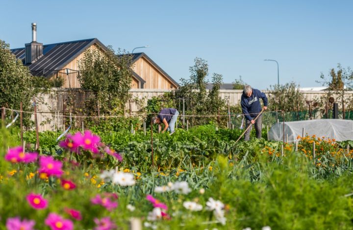 Our Community Garden