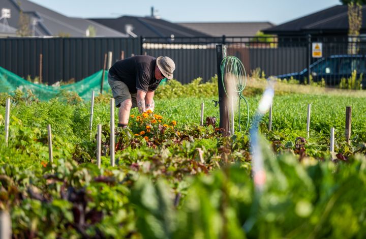 Faringdon Community Garden