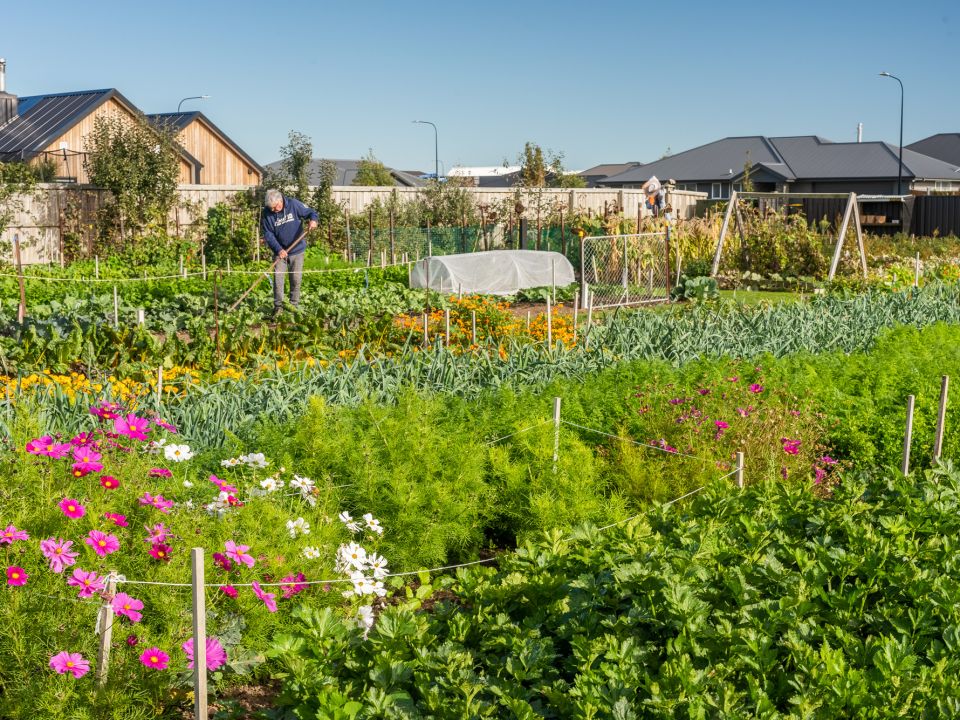 Faringdon Community Garden