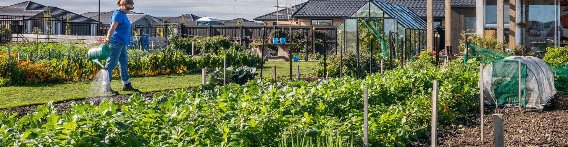 Faringdon Community Garden